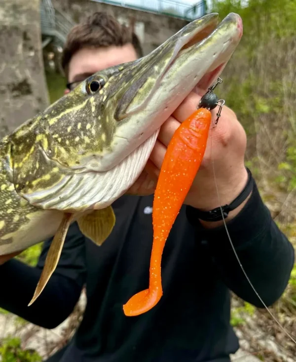 Photo d'un prototype avec un brochet.